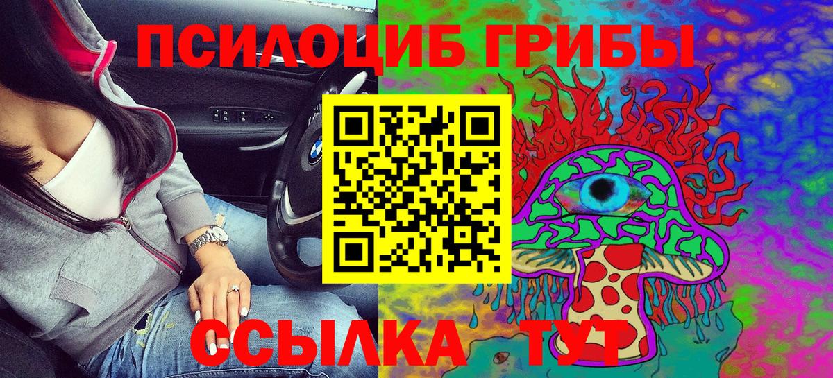 где можно купить наркотик  Галлюциногенные грибы MAGIC MUSHROOMS  Вход с VPN  Дивногорск 