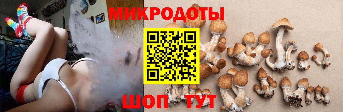 Галлюциногенные грибы прущие грибы Дивногорск
